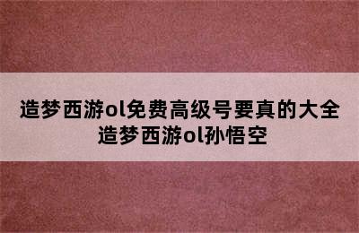 造梦西游ol免费高级号要真的大全 造梦西游ol孙悟空